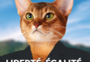a cat candidate for elections / Liberté, égalité, copier coller!
