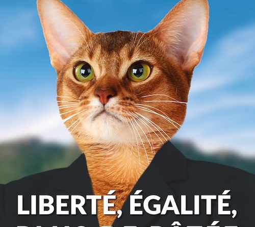 a cat candidate for elections / Liberté, égalité, copier coller!