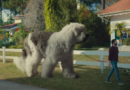 oversized dog / La ressemblance est un peu grosse?