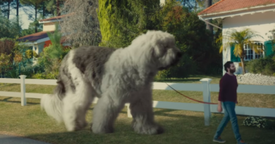 oversized dog / La ressemblance est un peu grosse?