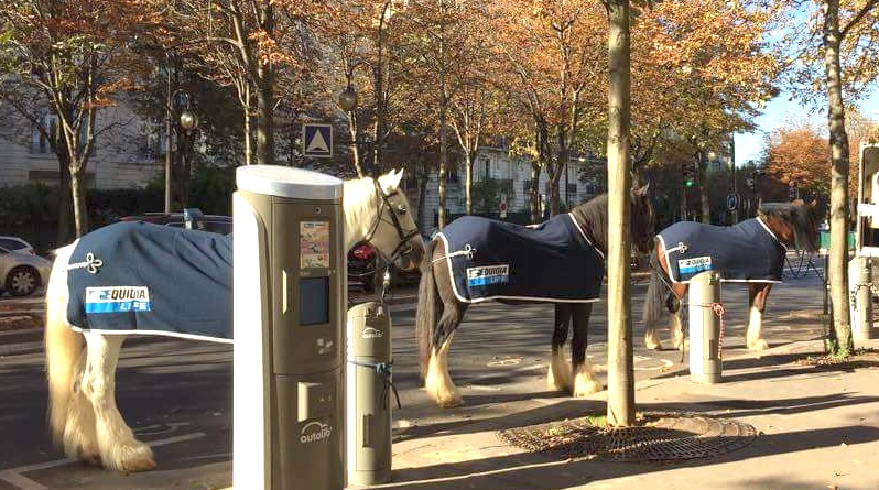 horse car sharing / Ça crin un peu?